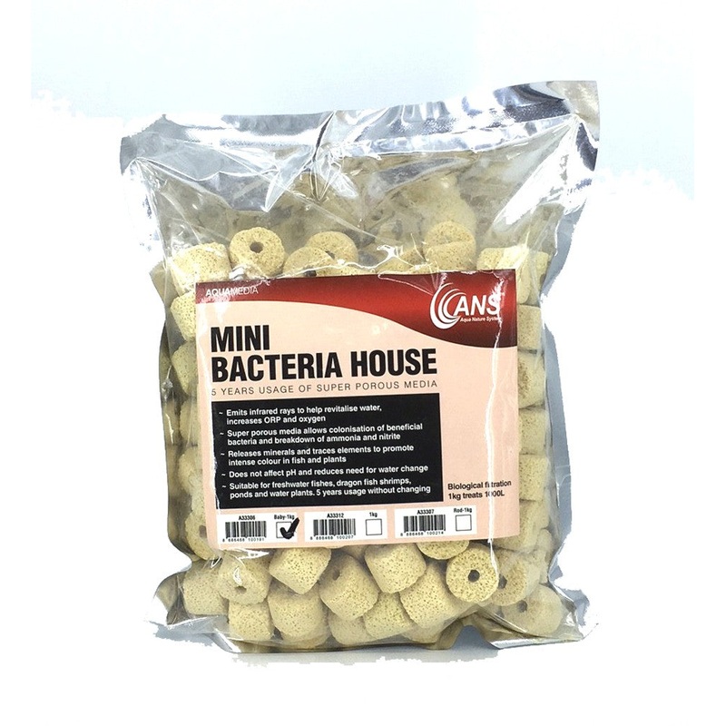 ANS Mini Bacteria House