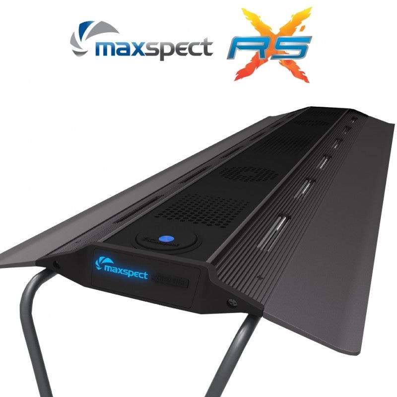 Maxspect RSX