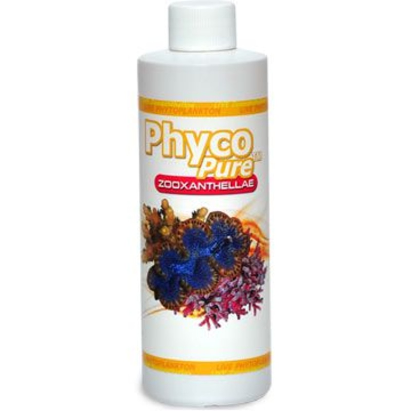 PhycoPure Zooxanthellae 4oz