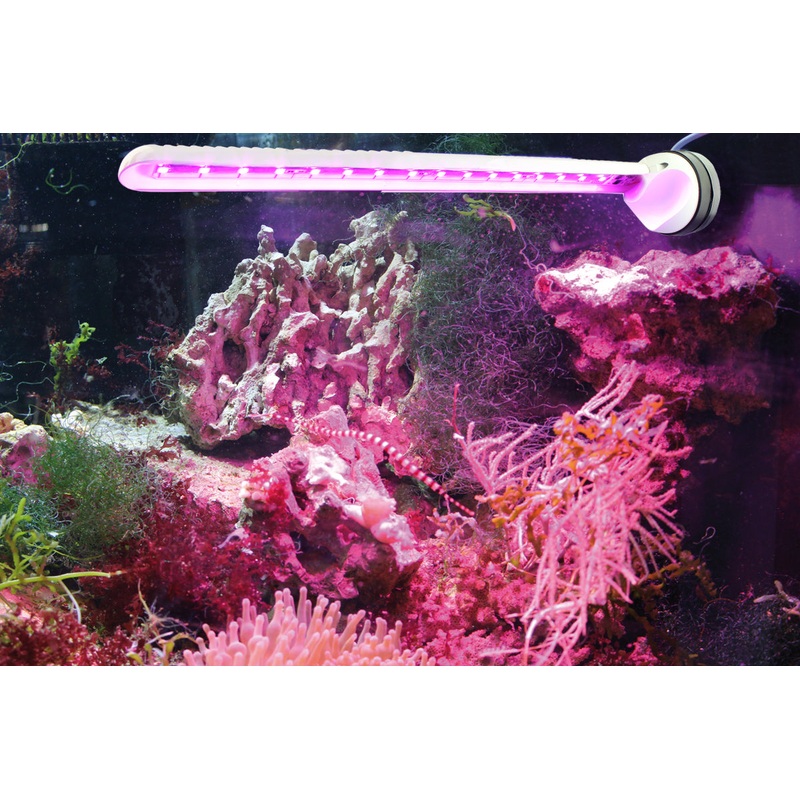 Tunze LED Eco Chic Refugium