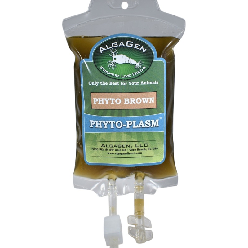AlgaGen Phyto-Plasm Phyto Brown 250ml