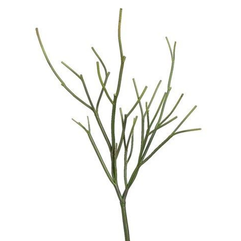 23" Pencil Cactus Plant Green