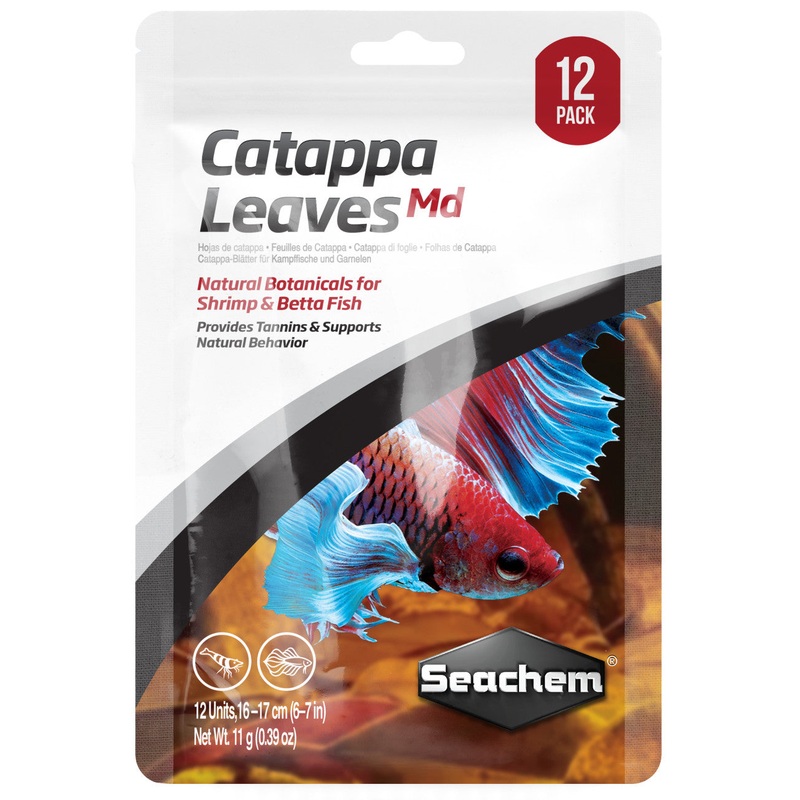 Catappa Leaves