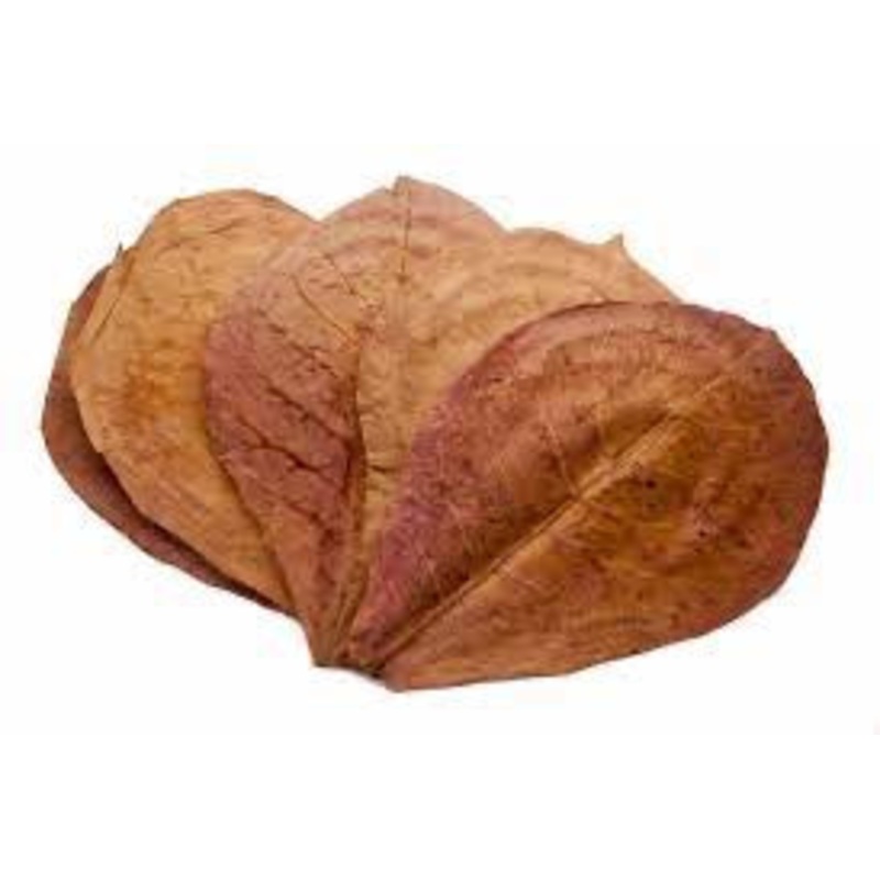 Catappa Leaf