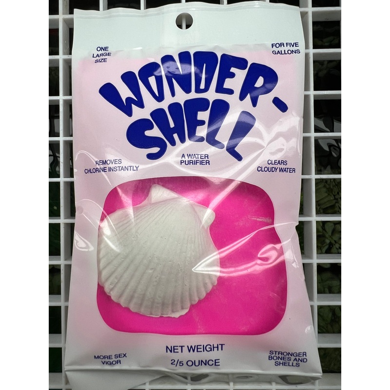 Wonder Shell