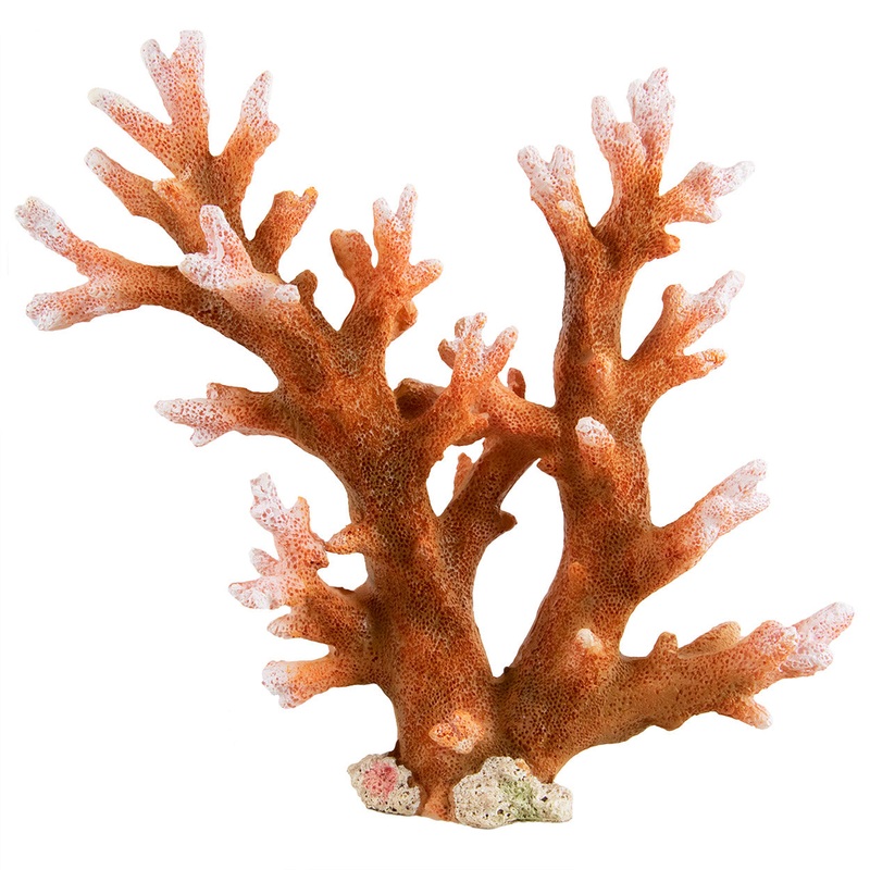 Staghorn - Medium Aquarium Decor
