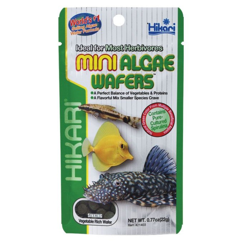 Hikari Tropical Fish Food Mini Algae Wafers 22/85g