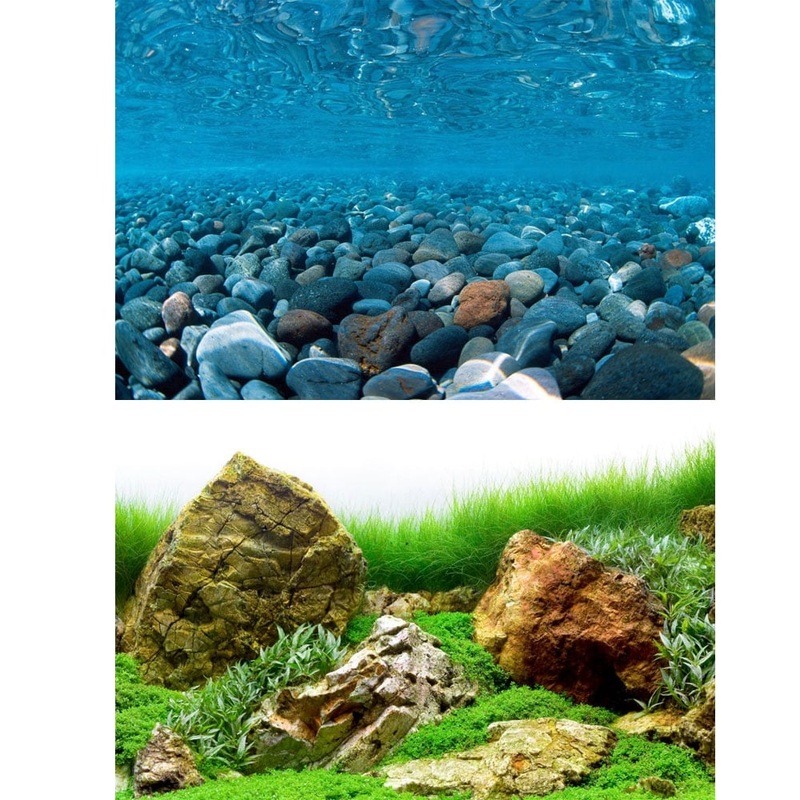 Marina River Rock & Japanese Garden Aquarium Double Sided Background