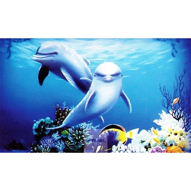 Penn Plax 3D HD Aquarium Background Dolphin 51 x 31cm