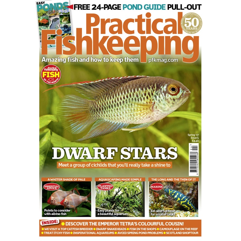 Practical Fishkeeping Magazine Spring 2017 Issue 5