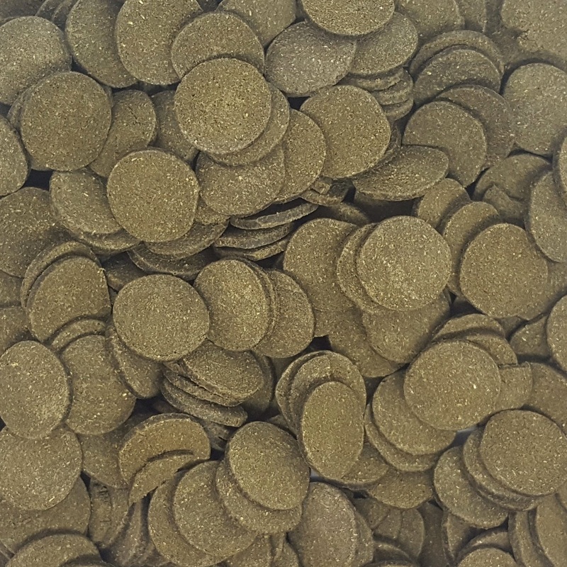 Premium Spirulina Algae Wafers for Bottom Feeders