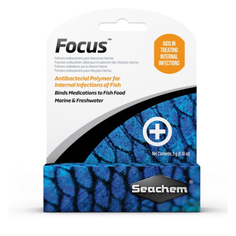 Focus 5g