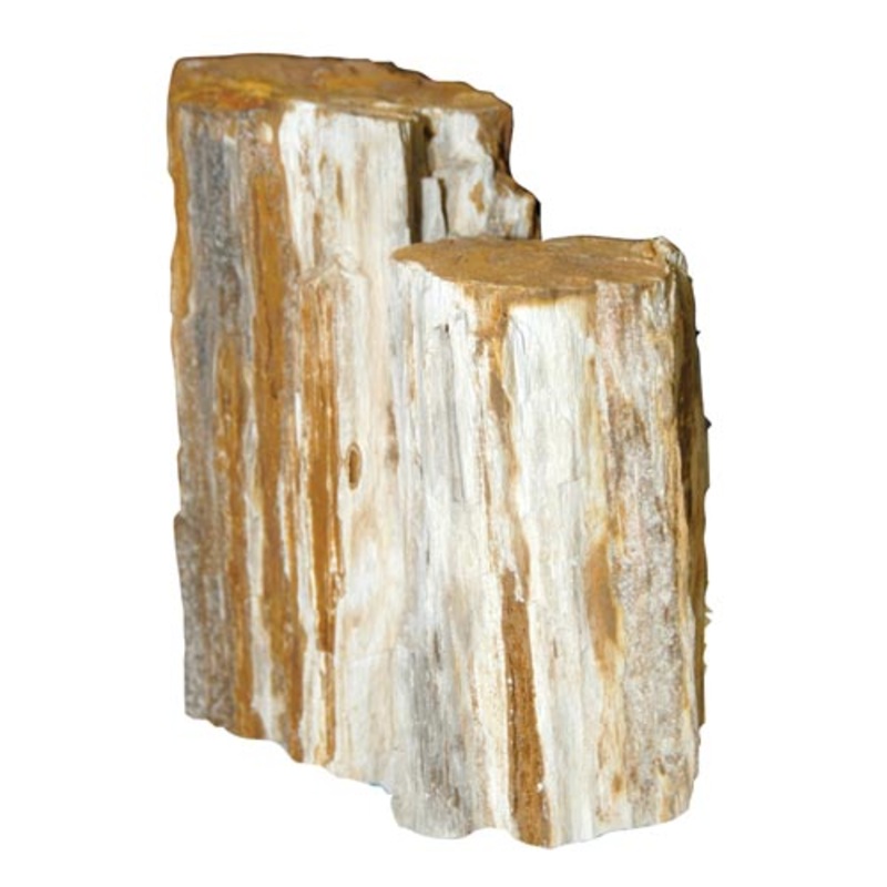 Feller Stone Petrified Wood - Sold by the Pound 12550 Minimum 5 lb