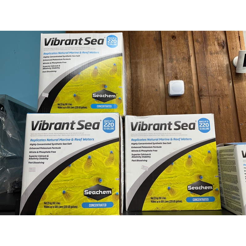 Vibrant Sea SALT