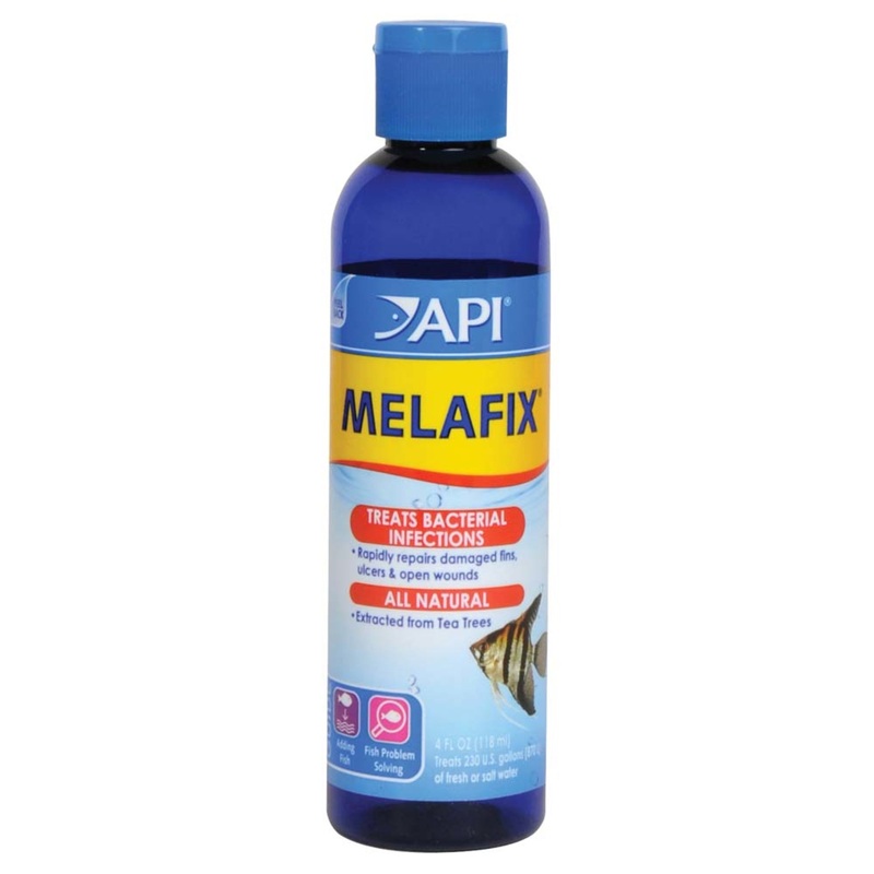API Melafix Baterial Infection Remedy - 4oz