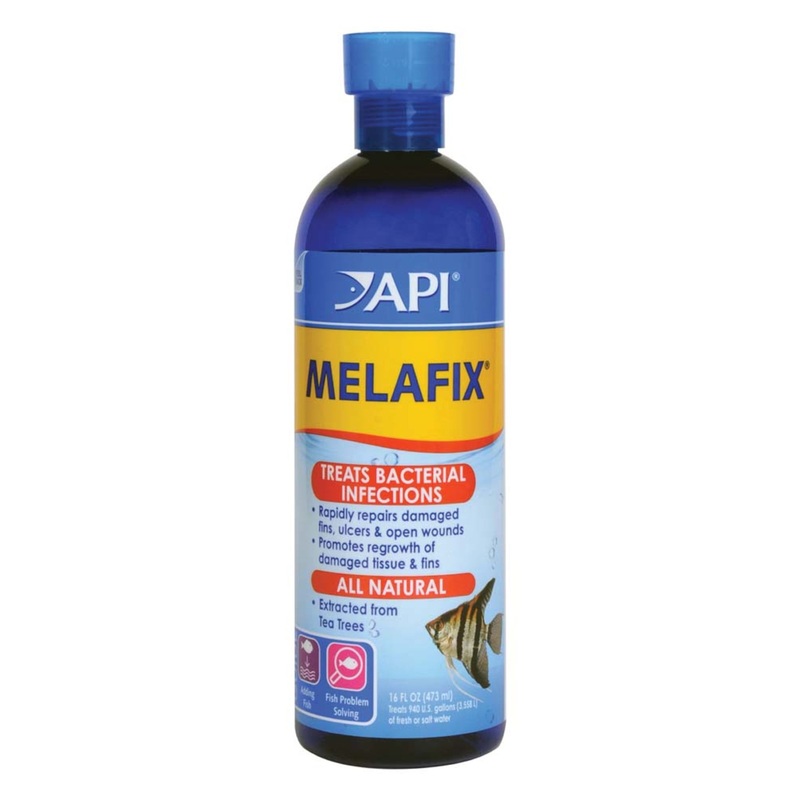 API Melafix Baterial Infection Remedy - fl 16oz