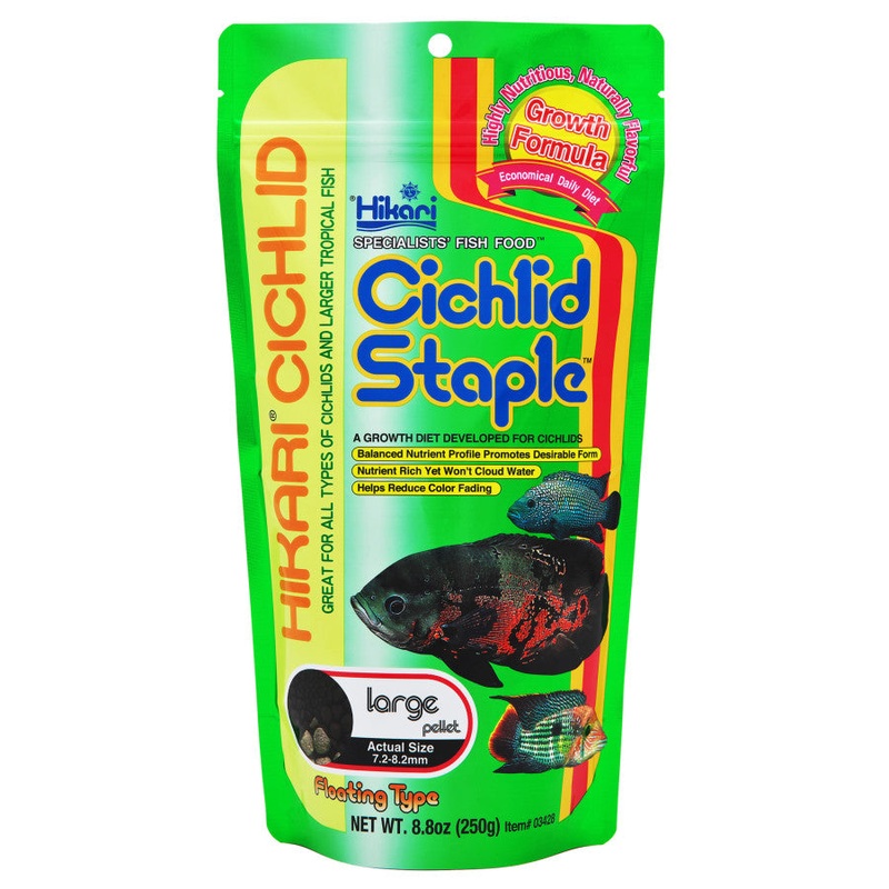 Hikari USA Cichlid Staple Large Pellets Fish Food - 8.8OZ