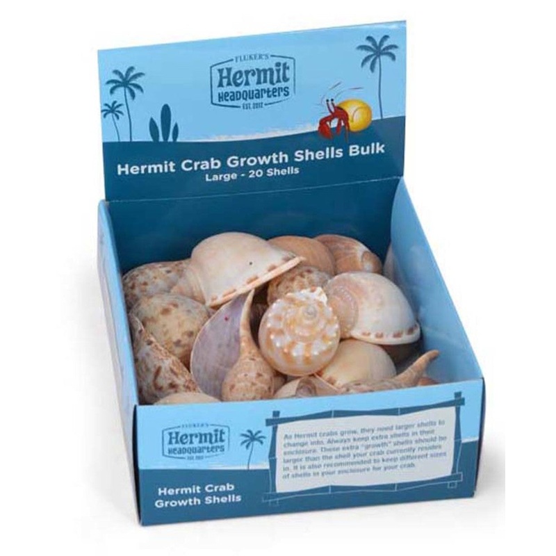Hermit Crab Growth Shells Display Assorted 1ea/20 pk, LG