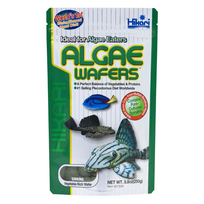 Hikari USA Algae Wafers Rapidly Sinking Wafer Fish Food 8.8 oz