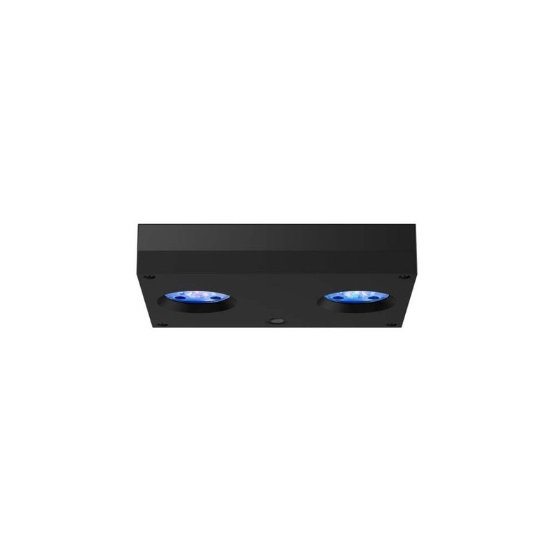 AI Hydra 32HD - BLACK