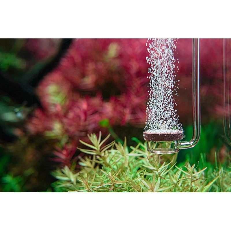 AQUARIO Neo CO2 Diffusor Extend Special Type