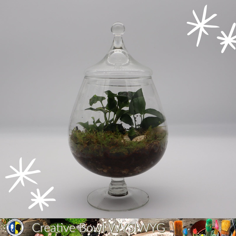 WYSIWYG Bowl Creation 1