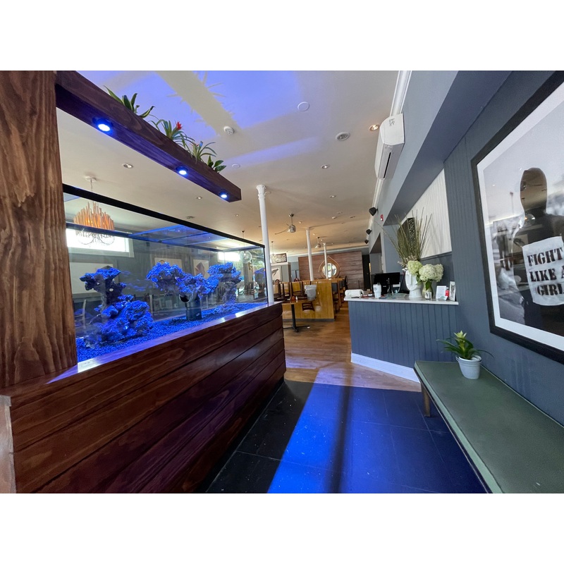 Custom Glass Aquarium