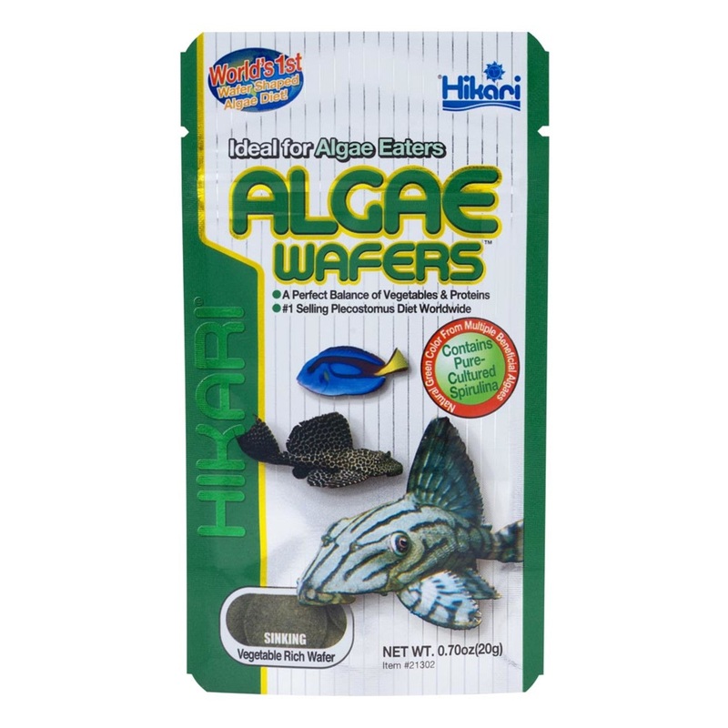 Hikari Algae Wafer 0.07oz
