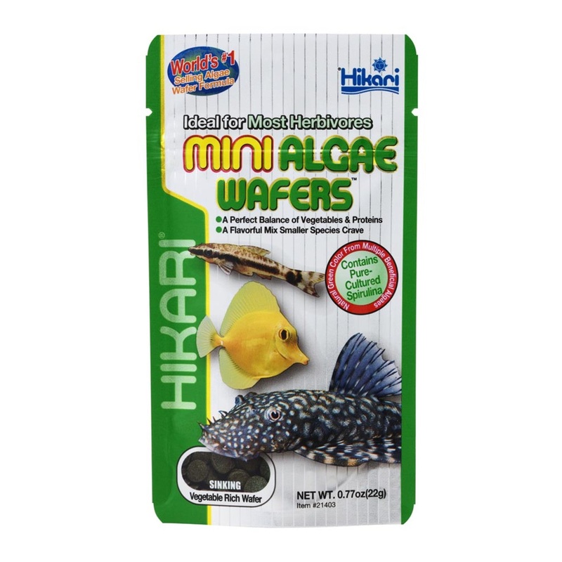 Hikari Mini Algae Wafers .77oz