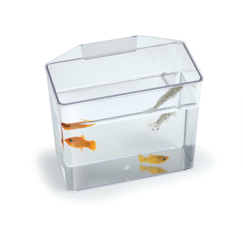 Lee's Aquarium & Pet Products Break Resistant Specimen Containers