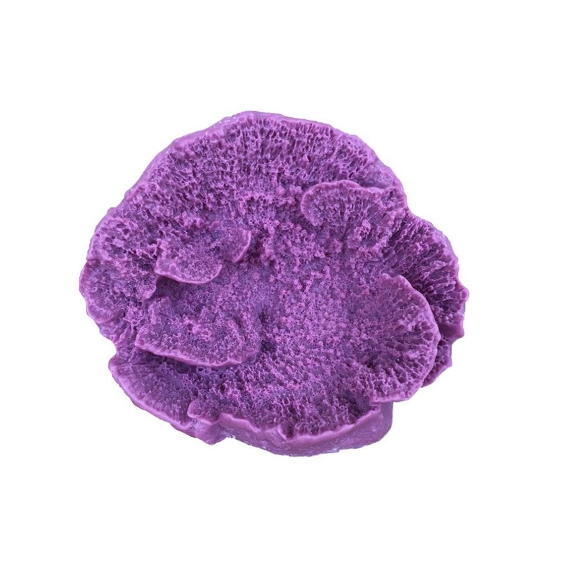 Weco Products South Pacific Coral Capricornis Ornament - Lavender