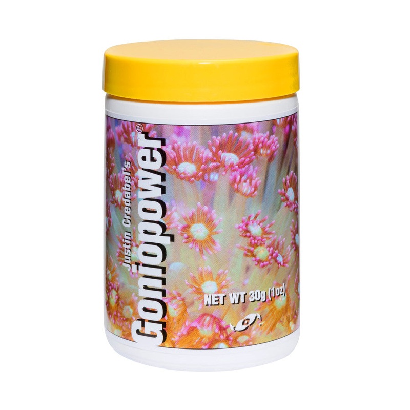 Justin Credabel's Goniopower