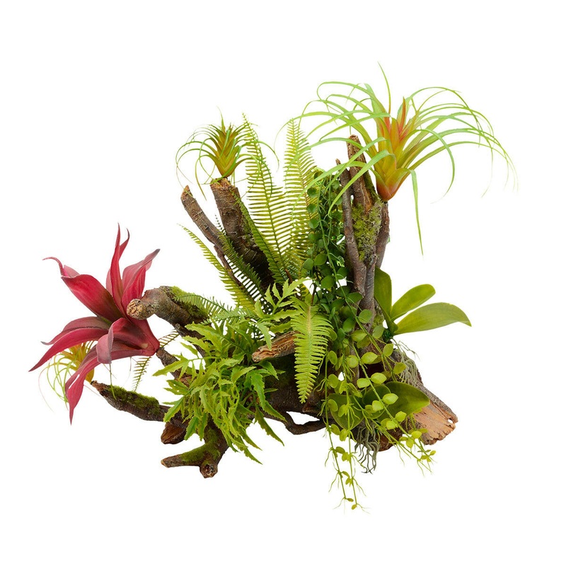 Aqua One Natural Tropical Planted Garden Branch