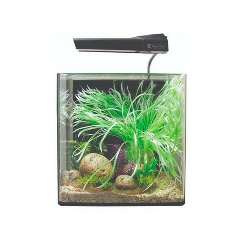 Aqua One AquaNano 30 Aquarium