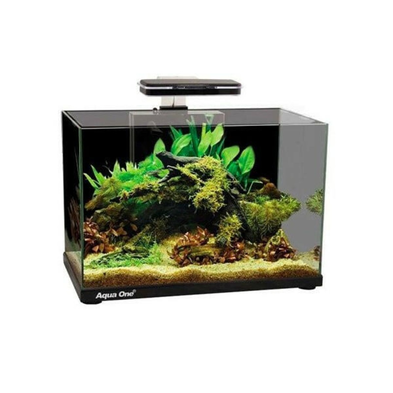 Aqua One Focus 36 Aquarium