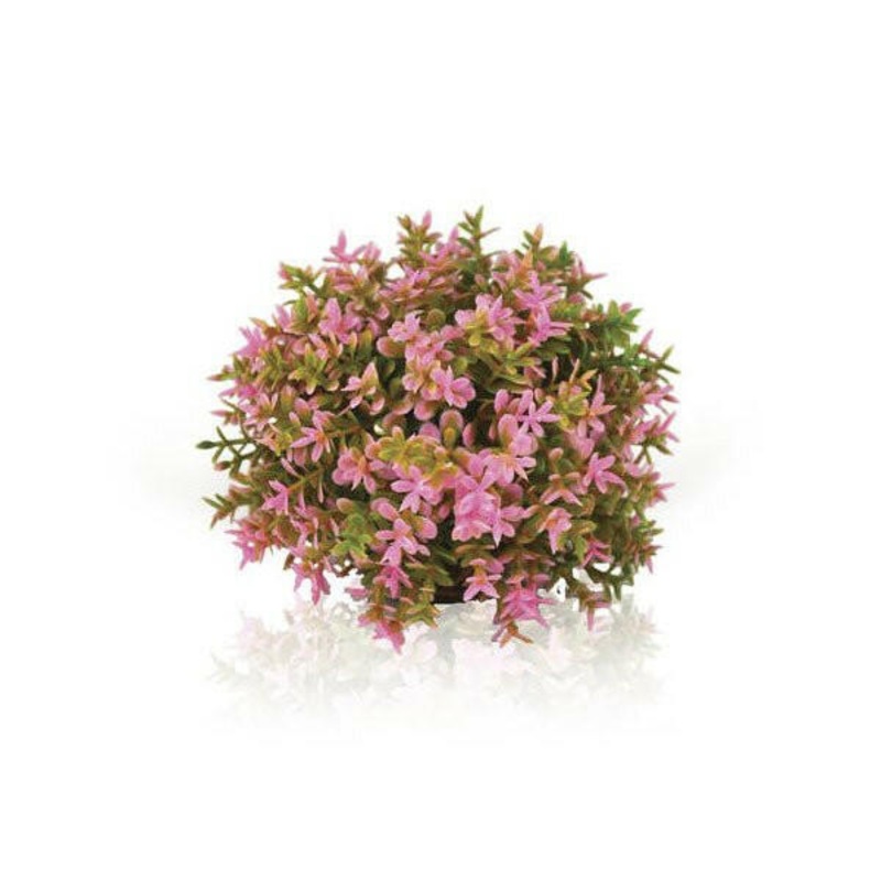 Biorb Pink flower Ball