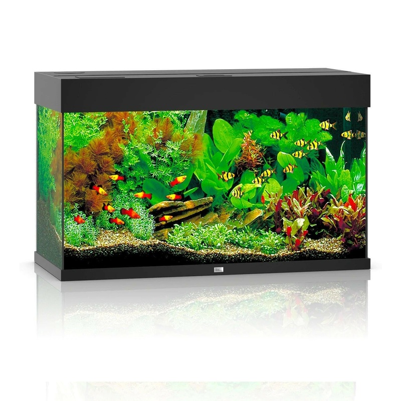 Juwel Rio 125 LED Aquarium Only