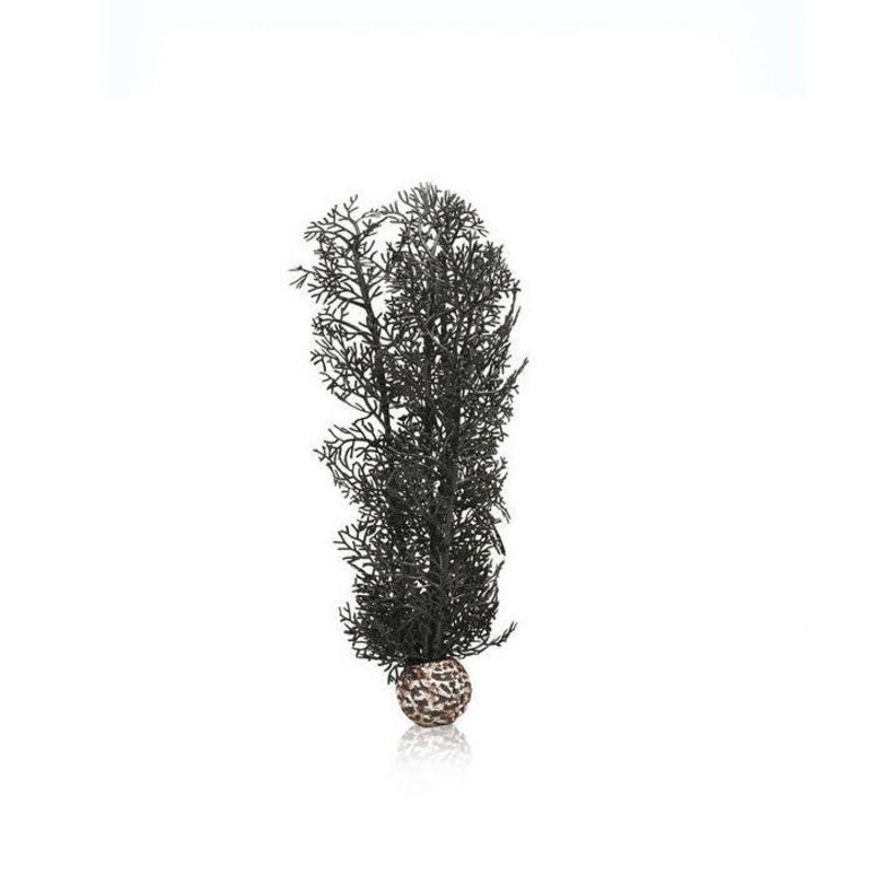 BiOrb Black Sea Fan - Medium