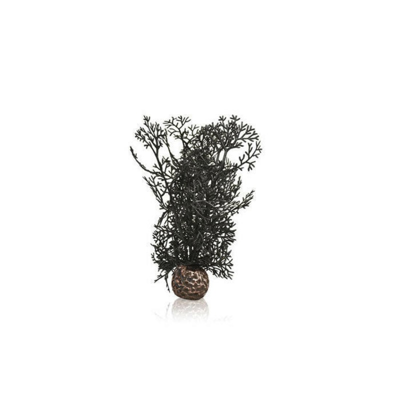 BiOrb Black Sea Fan - Small