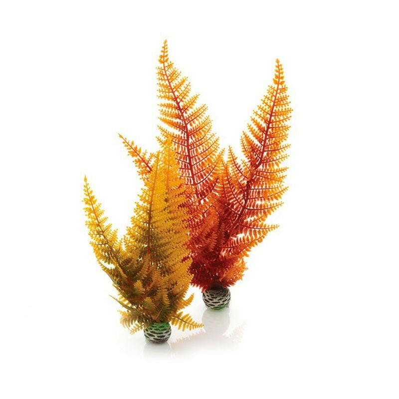 BiOrb Easy Plants - Autumn Fern (Medium x 2)