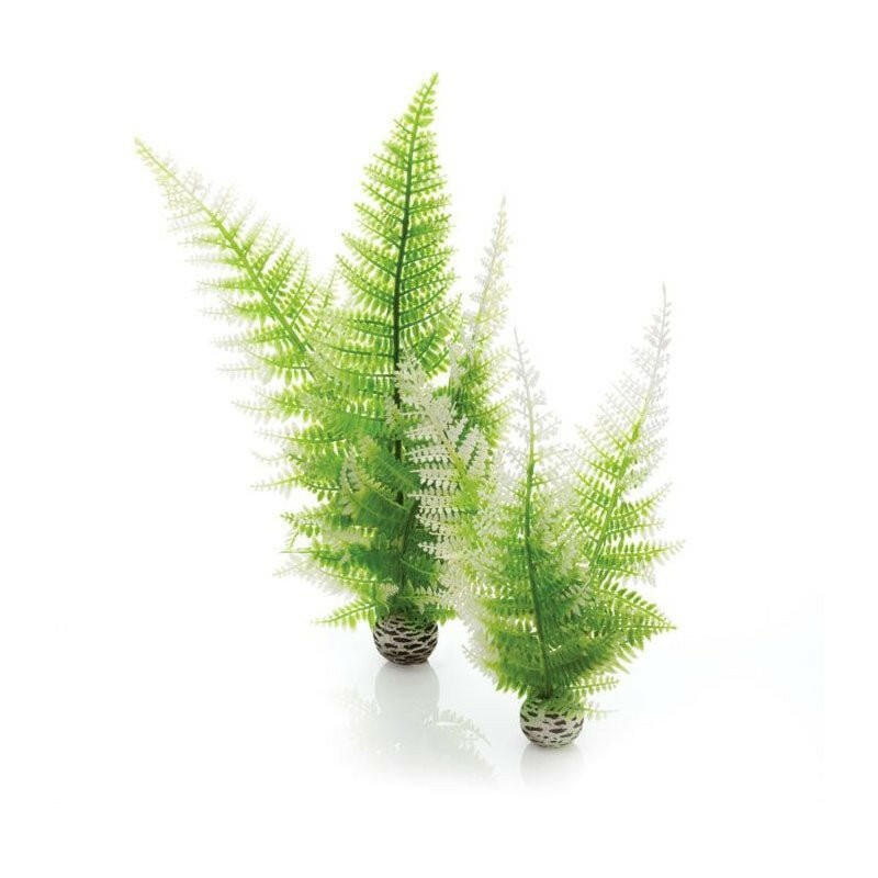 BiOrb Easy Plants -  Winter Fern (Medium x 2)