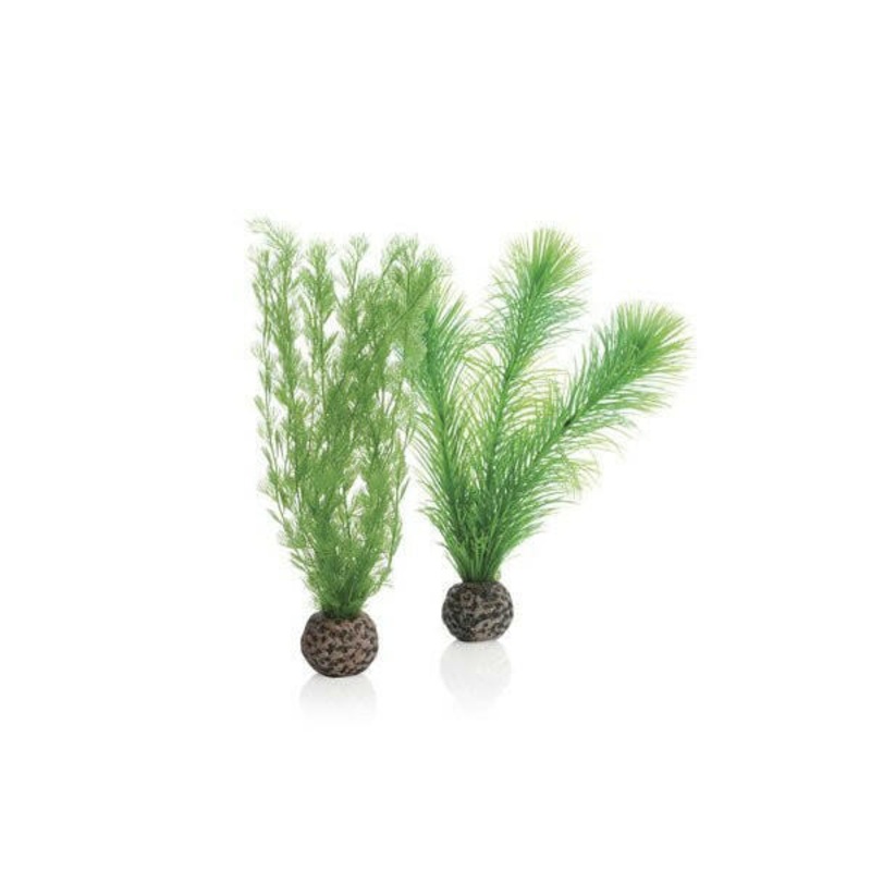 Biorb Feather Fern Set - Small