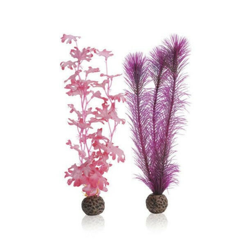 Biorb Pink Kelp Set - Medium