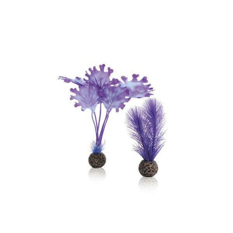 Biorb Purple Kelp Set - Small
