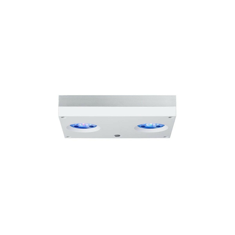 AI Hydra 32HD LED Light - White
