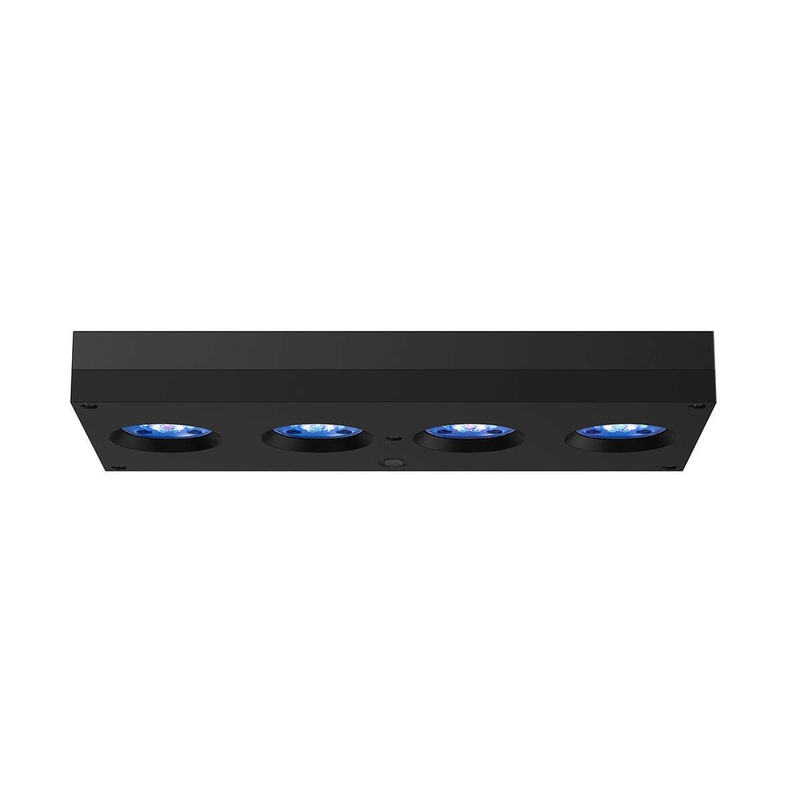 AI Hydra 64HD LED Light - Black