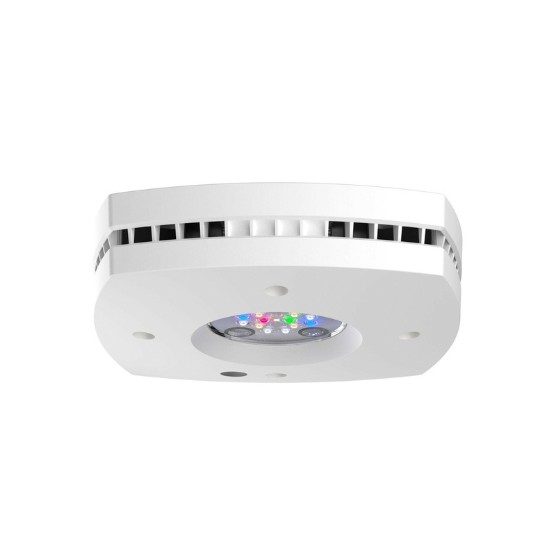 AI Prime 16HD Freshwater LED Light - White