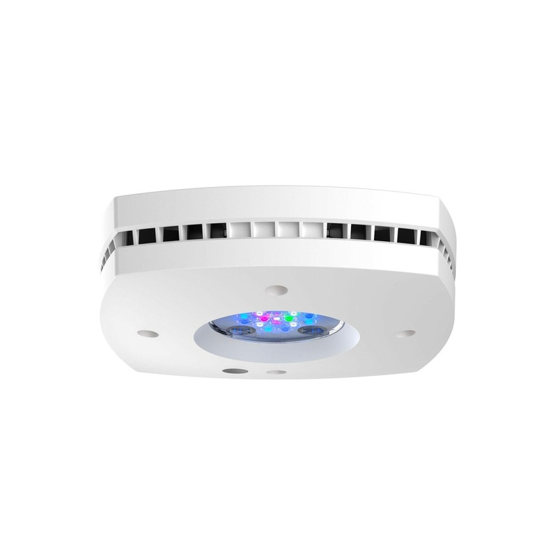 AI Prime 16HD Reef LED Light - White