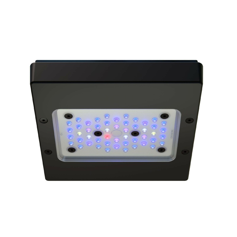 Ecotech Radion XR15w Blue G6 LED