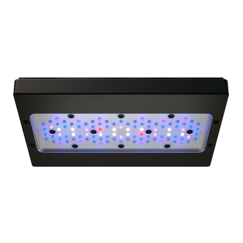 Ecotech Radion XR30w Blue G6 LED
